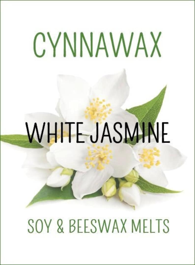 Puede incluir: Fundas de soja y cera de abeja de jazm&iacute;n blanco de Cynnawax. La imagen muestra un primer plano de flores de jazm&iacute;n blanco.