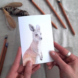 Australian Wallaby Joey greeting card, Kangeroo gift card, blank coloured pencil art card, Australiana, International gift, Australian made