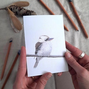 SALE - Cute Australian KOOKABURRA greeting card set of 4, Aussie blank gift card, colour pencil art, Australian made, bird drawing