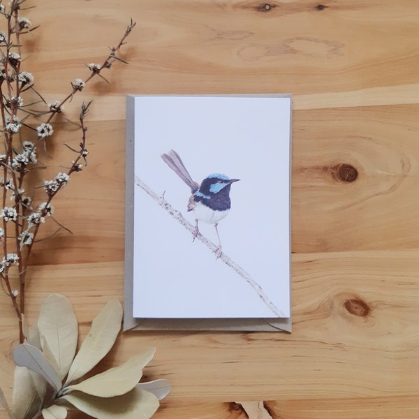 SUPERB FAIRYWREN hand drawn greeting card, Australian Bird WIldlife blank card, Cute Aussie Animal Cards great for gifts