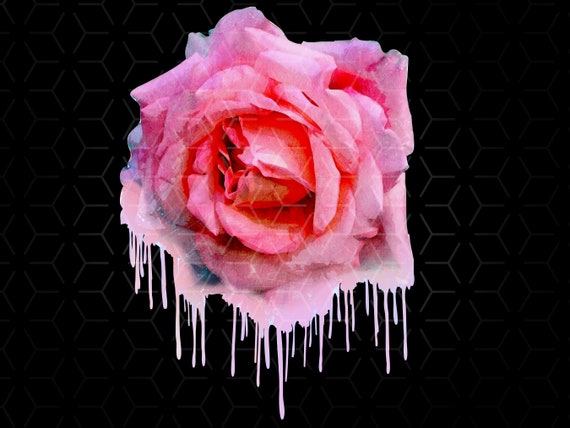 Rose Watercolor Drip