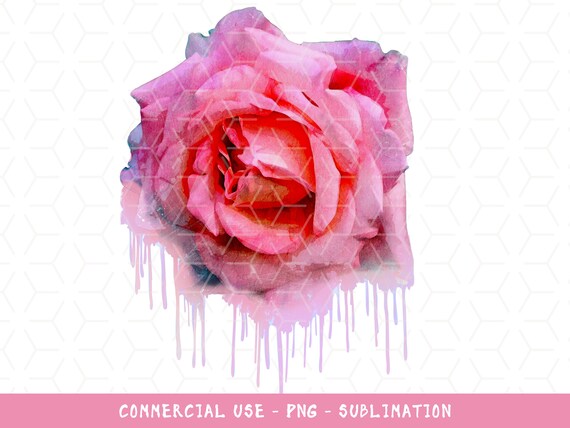 Rose Watercolor Drip