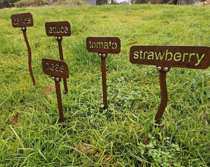 Metal Garden Stakes customise these with your words made from Corten steel, Veggie garden stakes, garden art gift idea, house number