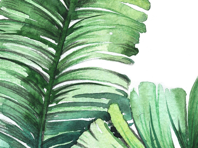 Tropical Jungle Girl Nursery Decor Safari Print Set 6 Etsy