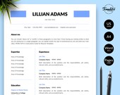Clean Resume Template, Basic CV Design (Instant Download)