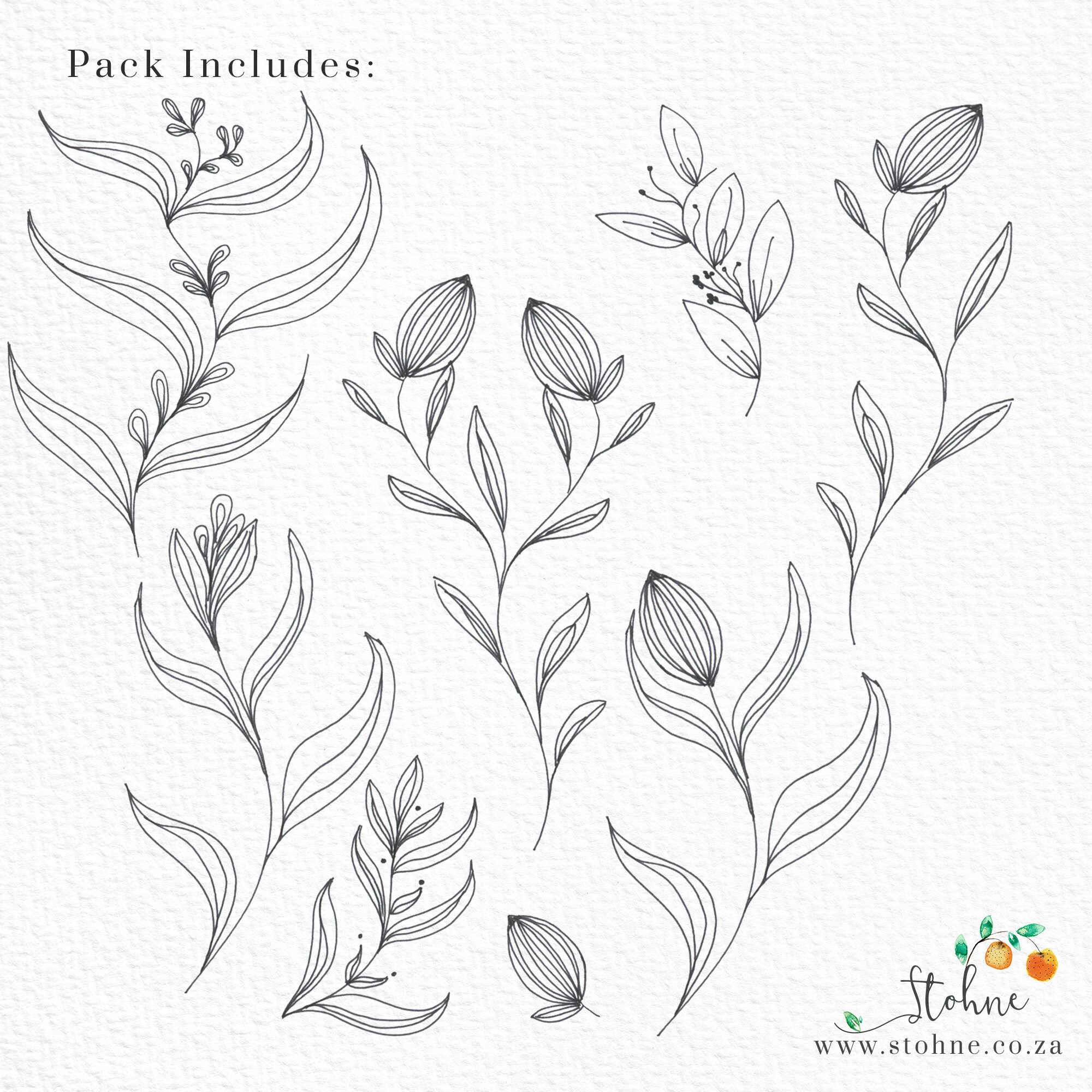 Illustrated Botanical and Floral Art Set Illustrated Vines Etsy