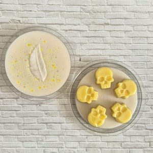 Boterbier Wax Melt Skulls - heerlijk geurend en met de hand gegoten - Herfst / Halloween (herfst)