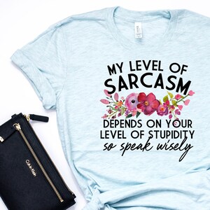 May include: Light blue t-shirt with a floral design and the text "MY LEVEL OF SARCASM DEPENDS ON YOUR LEVEL OF STUPIDITY so speak wisely".