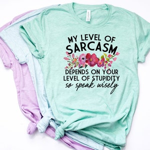 May include: A light green t-shirt with a floral design and the text "My level of sarcasm depends on your level of stupidity so speak wisely".