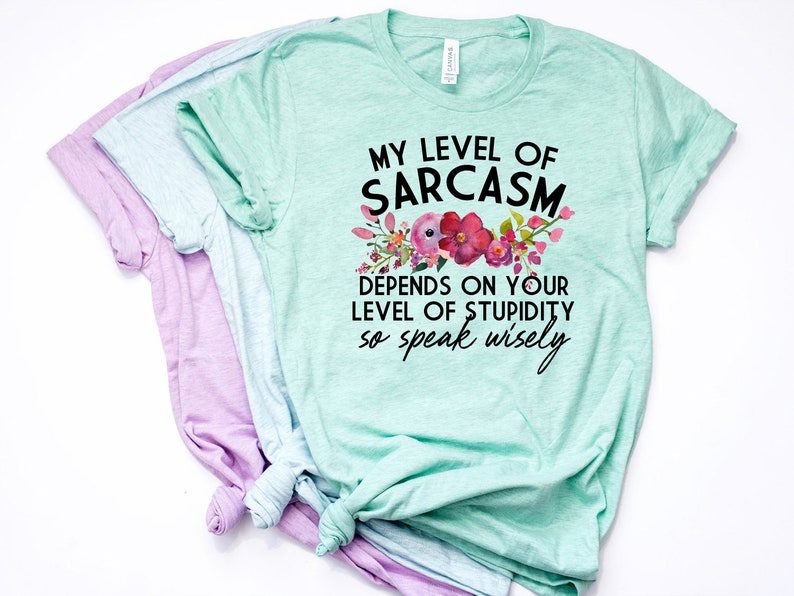 May include: A light green t-shirt with a floral design and the text "My level of sarcasm depends on your level of stupidity so speak wisely".