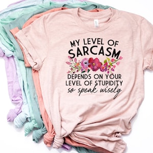 May include: A pink t-shirt with the text "My level of sarcasm depends on your level of stupidity so speak wisely" and a floral design.