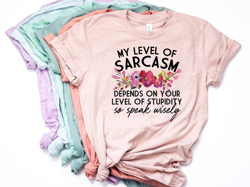 May include: A pink t-shirt with the text "My level of sarcasm depends on your level of stupidity so speak wisely" and a floral design.