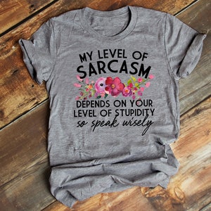 Sarcasm Shirt, Sarcastic T Shirt, Stupid People, My Level of Sarcasm, Speak Wisely, Mom T Shirt, Funny T Shirt, Bella Canvas - Item 6018 image 3