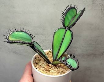 Stained Glass Venus Fly Trap