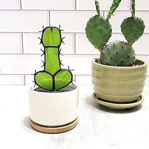 ORIGINAL Stained Glass Potted Male Cactus (Cocktus)