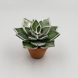 Stained Glass Potted Succulent