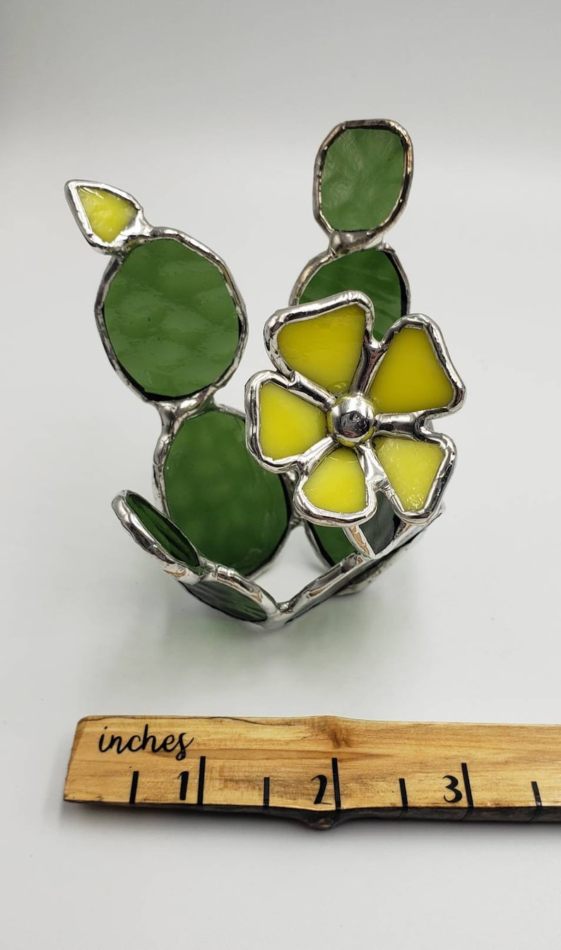 Stained Glass Cactus Succulent Plant