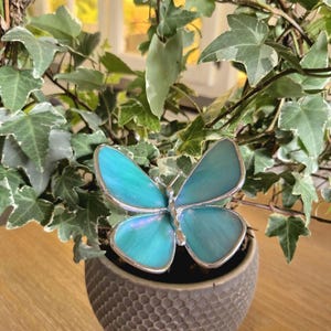 May include: A decorative teal butterfly with a silver outline rests atop a small, textured, gray pot. The butterfly is surrounded by green ivy. The pot sits on a wooden surface, with a window in the background.