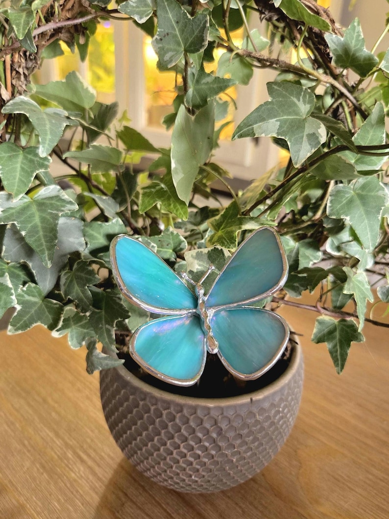 May include: A decorative teal butterfly with a silver outline rests atop a small, textured, gray pot. The butterfly is surrounded by green ivy. The pot sits on a wooden surface, with a window in the background.