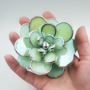 Stained Glass Succulent Plant - Mint Iridescent