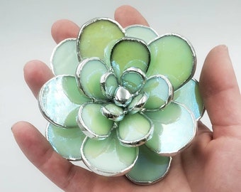 Stained Glass Succulent Plant - Mint Iridescent