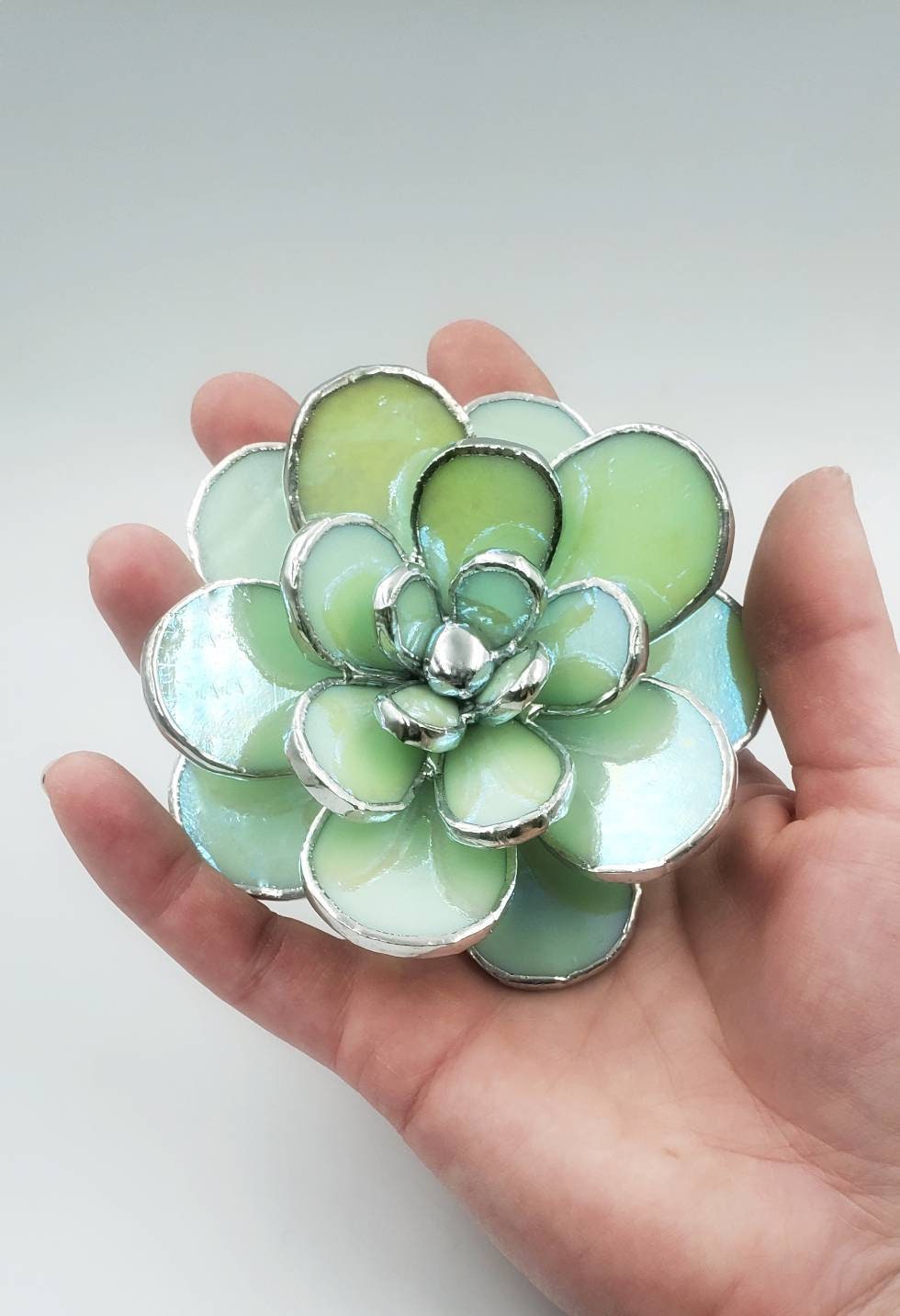 Stained Glass Succulent Plant Mint Iridescent