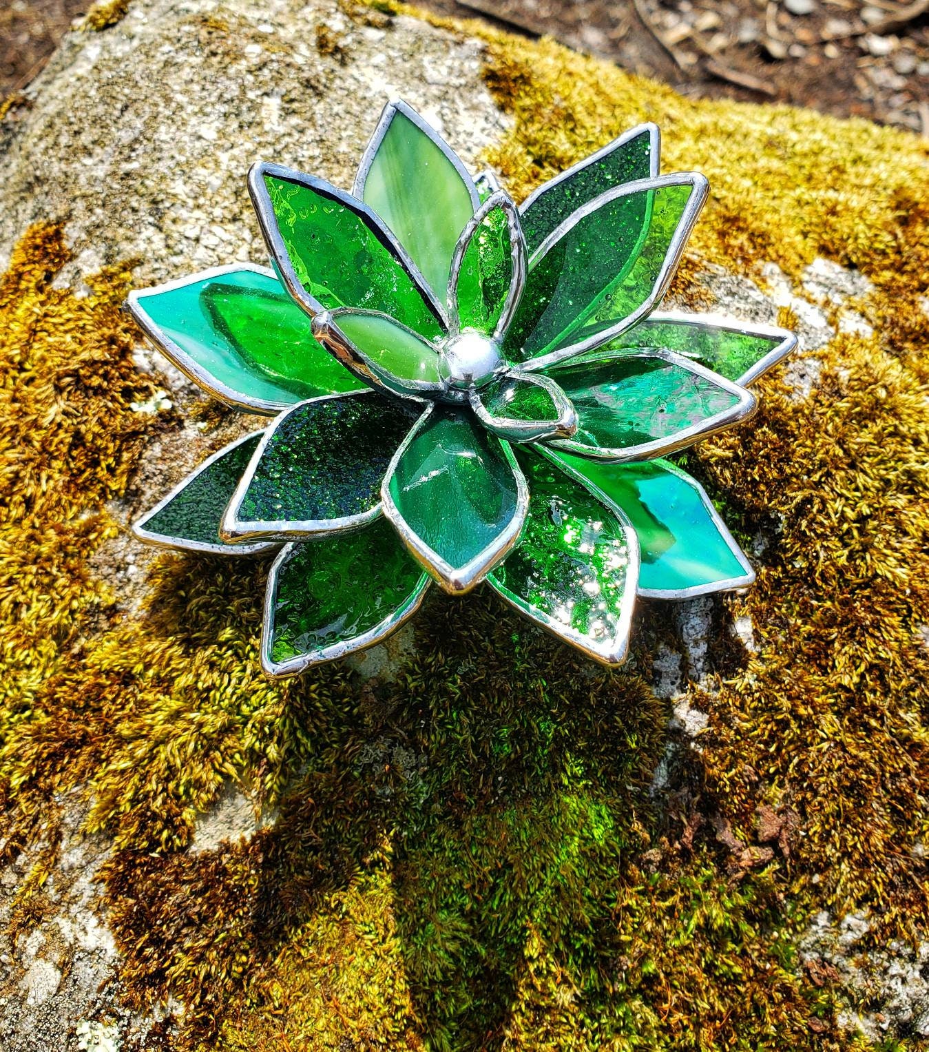 Stained Glass Succulent Plant Mixed Greens