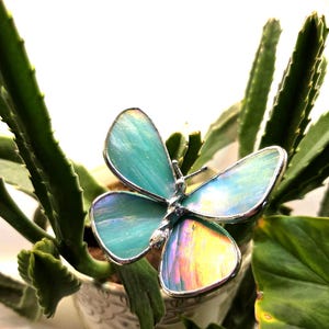 May include: A stained glass butterfly with iridescent teal and yellow wings, framed in silver. The butterfly rests on a potted succulent plant with green leaves. The butterfly's wings reflect light, creating a colorful display.