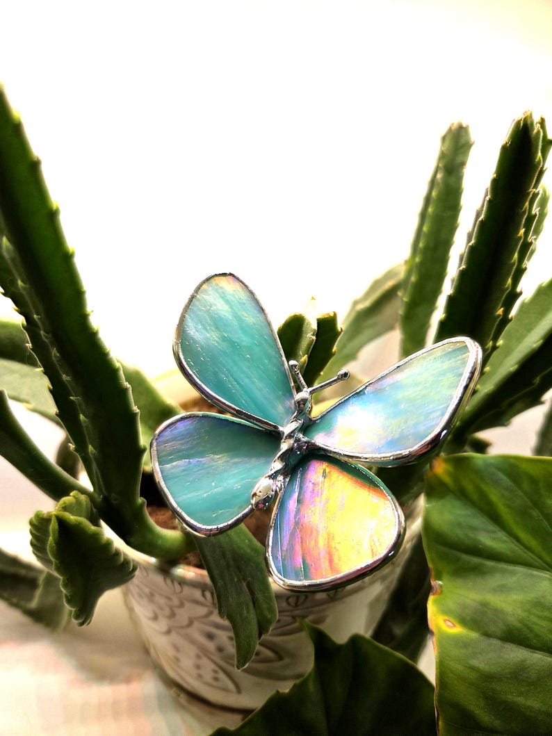 May include: A stained glass butterfly with iridescent teal and yellow wings, framed in silver. The butterfly rests on a potted succulent plant with green leaves. The butterfly's wings reflect light, creating a colorful display.