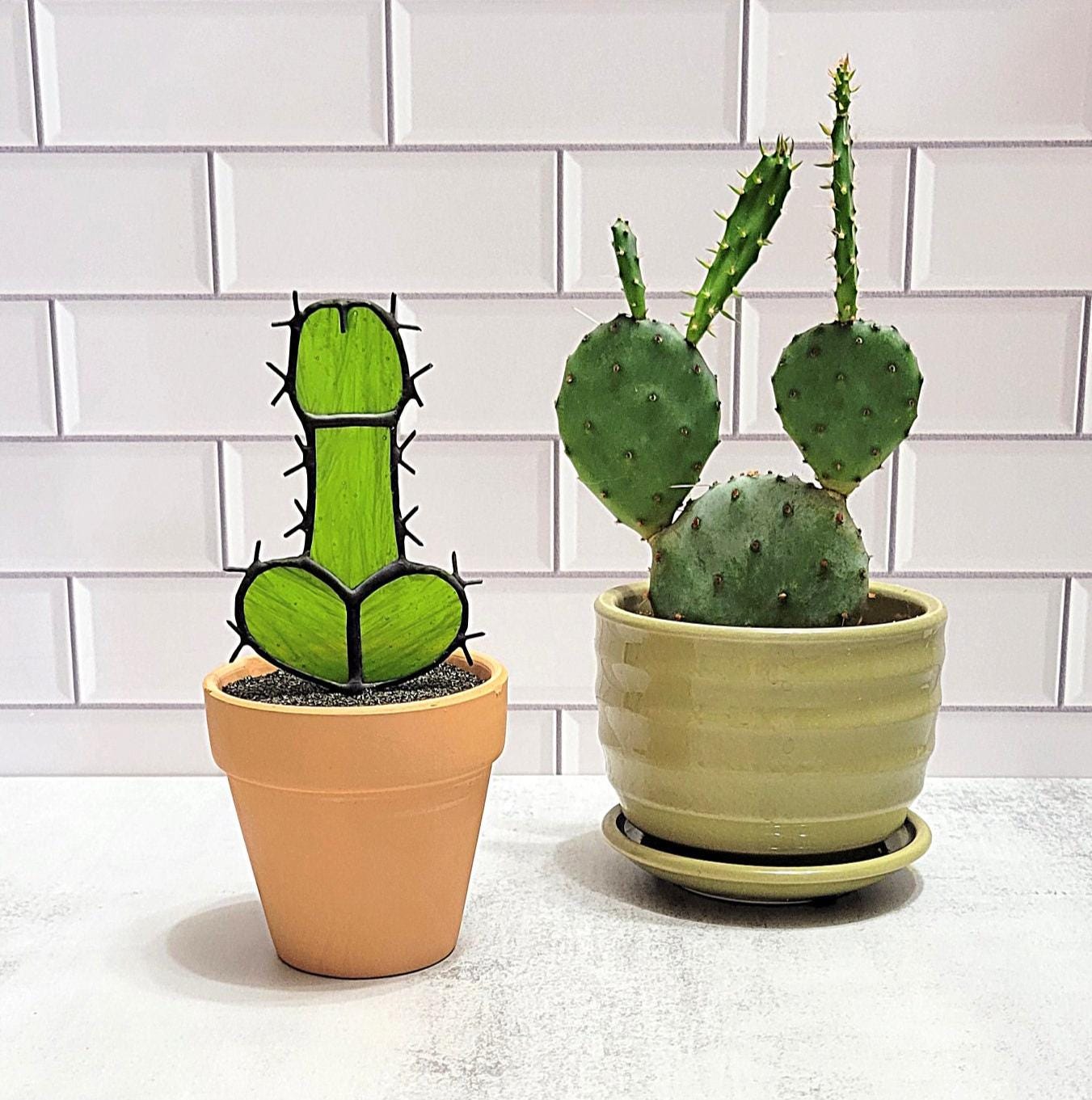cactus cigarette receptacle Pots Plants Botany Pattern Ashtrays For Cigarettes Outdoor with Lid Smell Proof Stainless Steel Portable Smokeless Butt Cans Ash Tray With Lid Outdoor for Car Cup Holder Cultivation and propagation ORIGINAL Stained Glass Potted Male