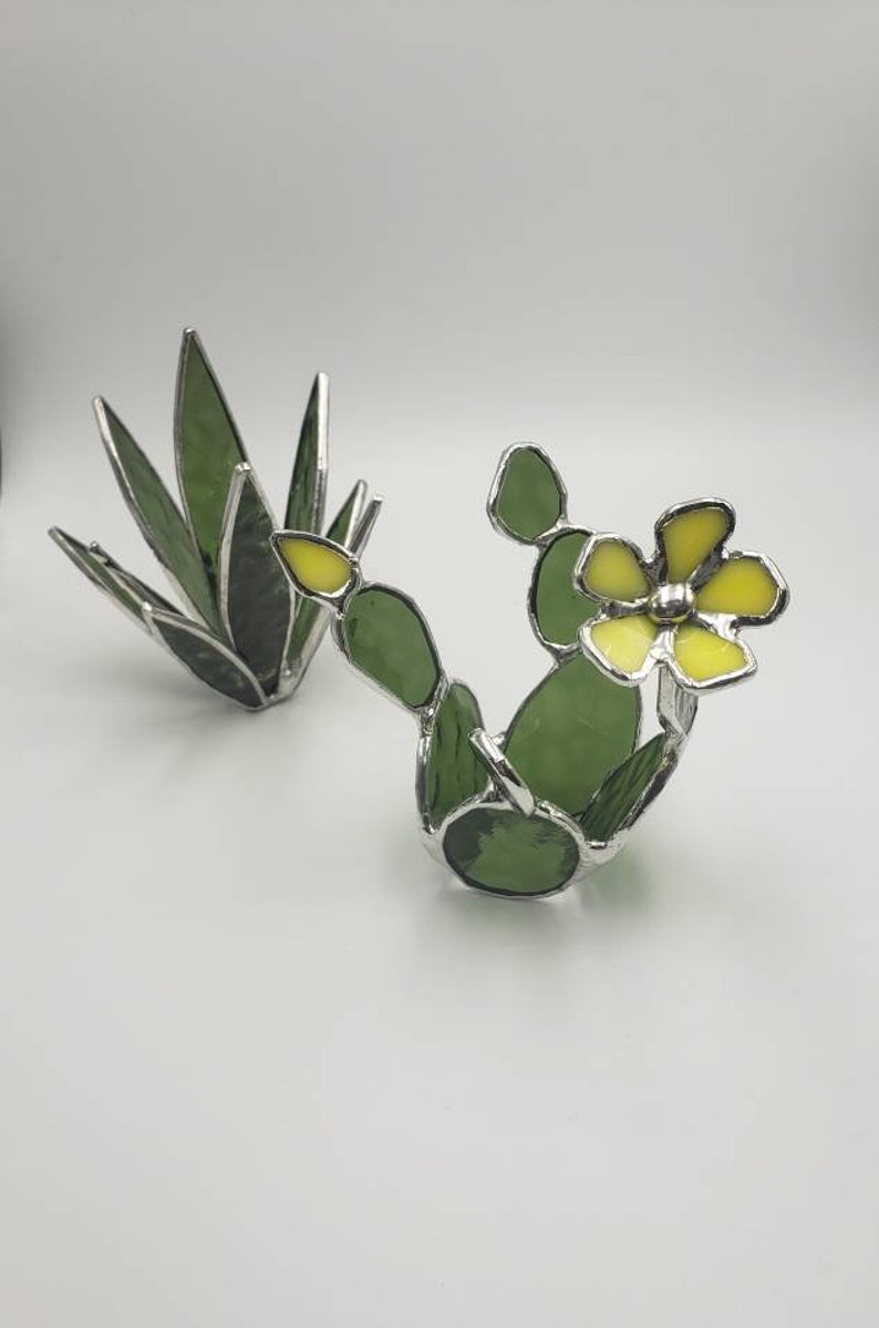 Stained Glass Cactus Succulent Plant