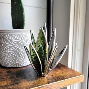 Stained Glass Aloe Agave Succulent Plant