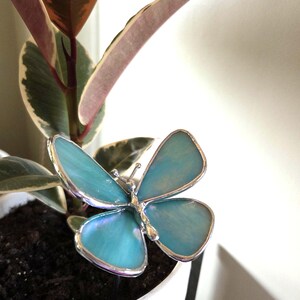 May include: A decorative butterfly plant stake with a turquoise glass design and silver-colored trim. The butterfly is placed in a white pot with a plant that has green, pink, and brown leaves.