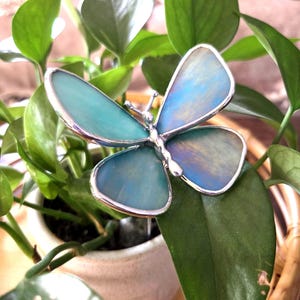 May include: A decorative butterfly with iridescent blue and teal wings, framed in silver. The butterfly is perched on a green leaf, surrounded by lush green foliage and a small white ceramic pot.