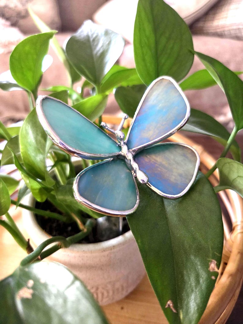 May include: A decorative butterfly with iridescent blue and teal wings, framed in silver. The butterfly is perched on a green leaf, surrounded by lush green foliage and a small white ceramic pot.