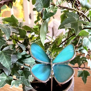 May include: A decorative butterfly stake with turquoise glass wings and a silver-colored metal frame. The butterfly is placed in a small, textured, dark gray pot with green and white ivy plants. The pot sits on a wooden surface.