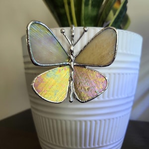 May include: A stained glass butterfly with iridescent wings in shades of yellow, pink, and blue. The butterfly has a silver-colored metal frame and is displayed in front of a white pot with a green plant.