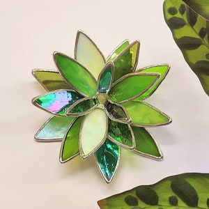 Stained Glass Succulent Plant - Mixed Green Crystal