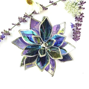 Stained Glass Succulent Plant - Iridescent Purple Grape