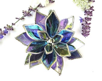 Stained Glass Succulent Plant - Iridescent Purple Grape