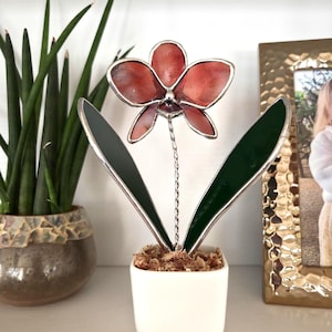 May include: A stained glass orchid flower in a white square pot. The flower has red petals and green leaves. The leaves are dark green with a silver border. The pot is filled with brown moss.