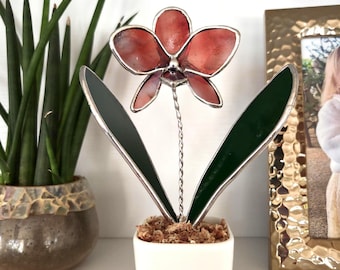 May include: A stained glass orchid flower in a white square pot. The flower has red petals and green leaves. The leaves are dark green with a silver border. The pot is filled with brown moss.