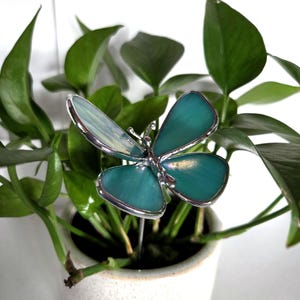 May include: A teal and silver butterfly plant stake is inserted into a small white ceramic pot with green leafy plants. The butterfly has a stained glass appearance with a silver metal outline.