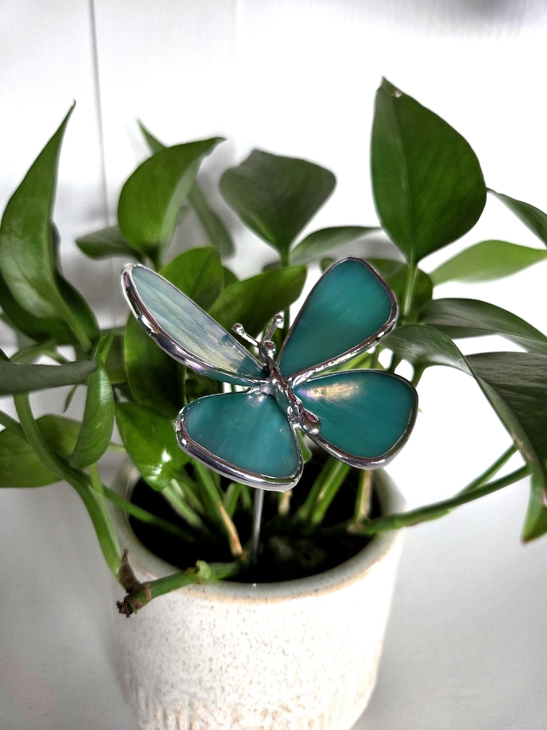 May include: A teal and silver butterfly plant stake is inserted into a small white ceramic pot with green leafy plants. The butterfly has a stained glass appearance with a silver metal outline.