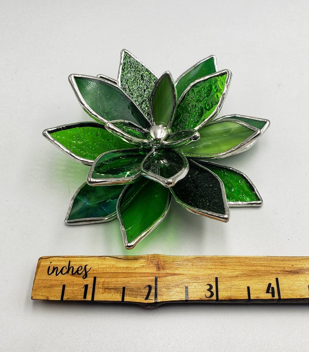 Stained Glass Succulent Plant Mixed Greens