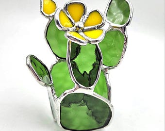 Stained Glass Cactus Succulent Plant