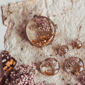 "Magic Moments" Plugs - transparent mit seltenen weißen und rosa Ozothamnusblüten mit Blattgold