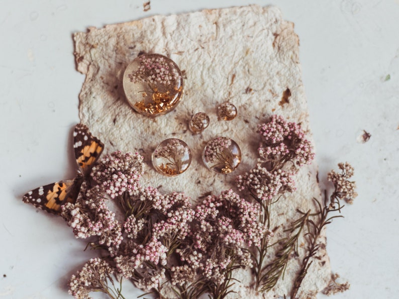 plugs magic moments transparent with rare white and pink ozothamnus flowers with gold leaf image 1