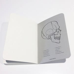 May include: An open notebook with a black and white illustration of a human skull with numbered bones. The page includes labels for each bone, including the frontal bone, parietal bone, occipital bone, temporal bone, mastoid process, nasal bone, mandible, maxilla, malar bone, and auditory canal. The page also includes the text "HEAD NOTES".
