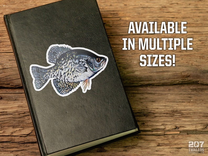 Black Crappie Sticker | Panfish Ice Fishing Decal Fisherman Fish ...